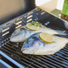Plancha Gas Grill Favex Margaux Metallic 4-burner 