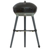 Grill Carri Chef 50 Czarny 30mbar 3,7W Zapalnik Piezoelektryczny