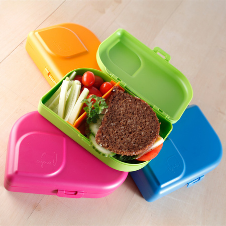 ajaa! lunch box with divider, blue – made from sugarcane, 18.5 × 12.5 × 5 cm
